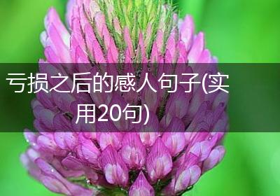 亏损之后的感人句子(实用20句)
