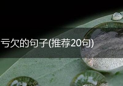 亏欠的句子(推荐20句)