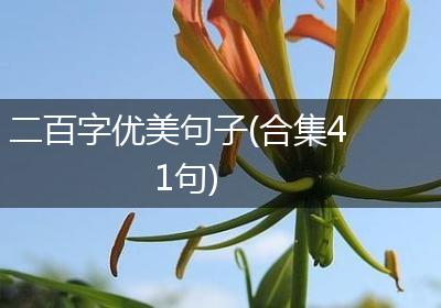 二百字优美句子(合集41句)