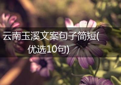 云南玉溪文案句子简短(优选10句)