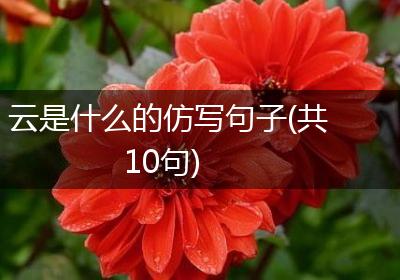 云是什么的仿写句子(共10句)