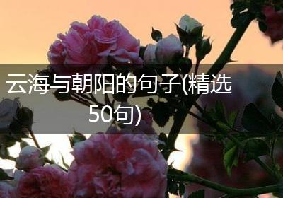 云海与朝阳的句子(精选50句)