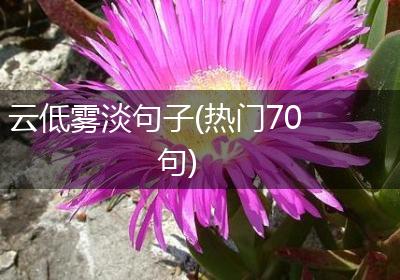 云低雾淡句子(热门70句)