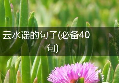 云水谣的句子(必备40句)
