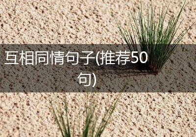 互相同情句子(推荐50句)