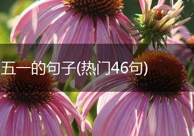 五一的句子(热门46句)