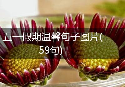 五一假期温馨句子图片(59句)