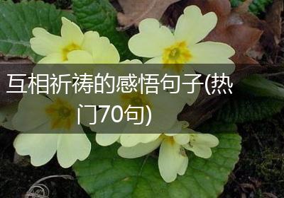互相祈祷的感悟句子(热门70句)