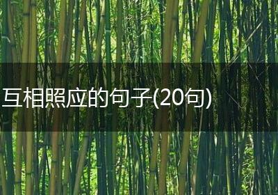 互相照应的句子(20句)