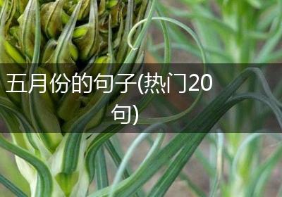 五月份的句子(热门20句)