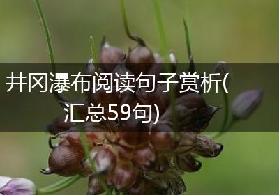 井冈瀑布阅读句子赏析(汇总59句)