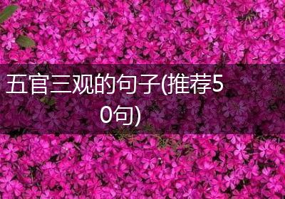 五官三观的句子(推荐50句)