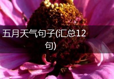 五月天气句子(汇总12句)