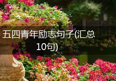 五四青年励志句子(汇总10句)