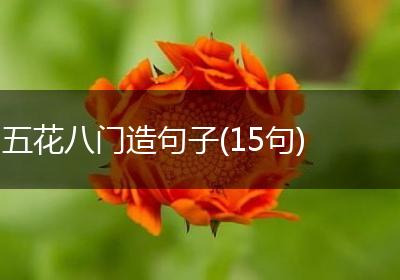 五花八门造句子(15句)
