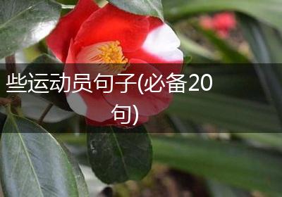 些运动员句子(必备20句)