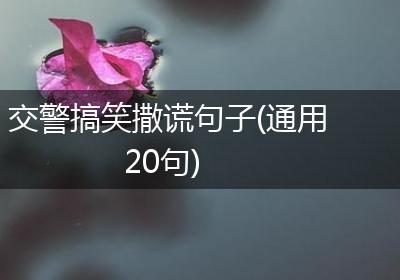 交警搞笑撒谎句子(通用20句)
