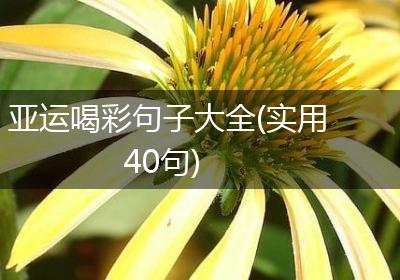 亚运喝彩句子大全(实用40句)
