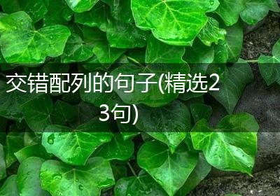 交错配列的句子(精选23句)