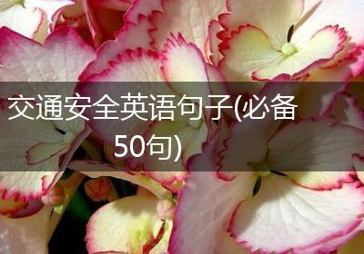 交通安全英语句子(必备50句)