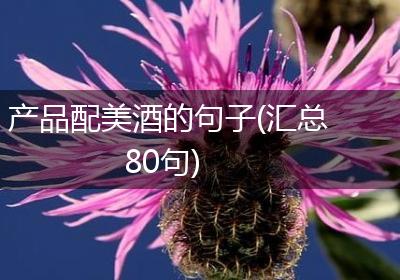 产品配美酒的句子(汇总80句)