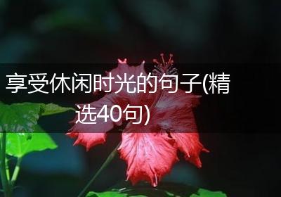 享受休闲时光的句子(精选40句)