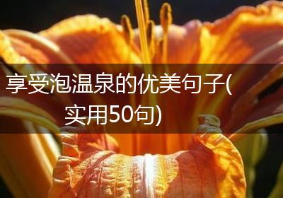 享受泡温泉的优美句子(实用50句)