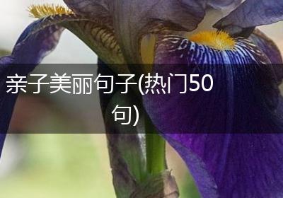 亲子美丽句子(热门50句)
