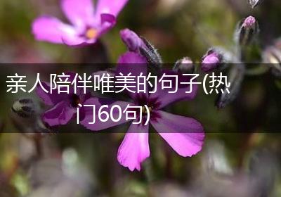 亲人陪伴唯美的句子(热门60句)