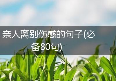 亲人离别伤感的句子(必备80句)