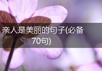 亲人是美丽的句子(必备70句)