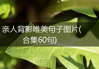 亲人背影唯美句子图片(合集60句)