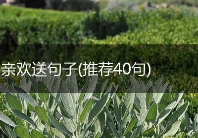 亲欢送句子(推荐40句)