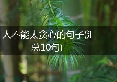 人不能太贪心的句子(汇总10句)