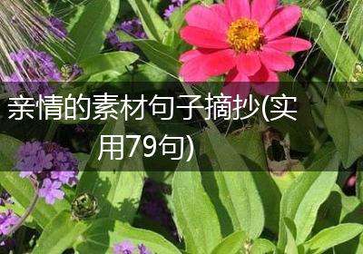 亲情的素材句子摘抄(实用79句)