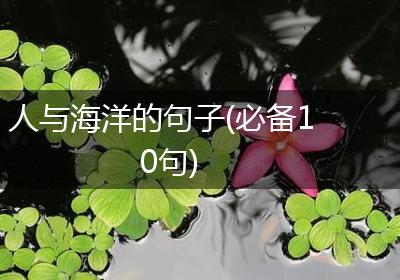 人与海洋的句子(必备10句)