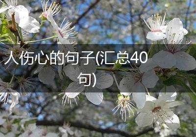 人伤心的句子(汇总40句)