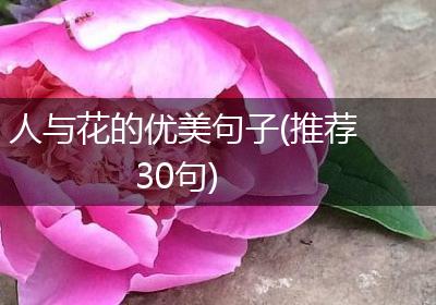 人与花的优美句子(推荐30句)