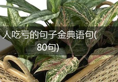 人吃亏的句子金典语句(80句)
