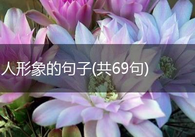 人形象的句子(共69句)