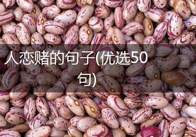 人恋赌的句子(优选50句)