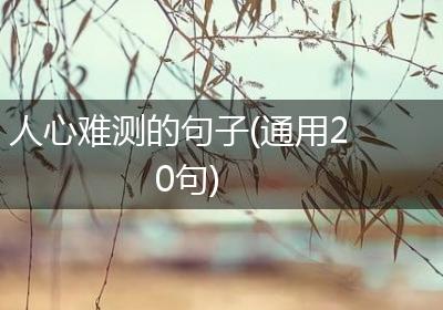 人心难测的句子(通用20句)