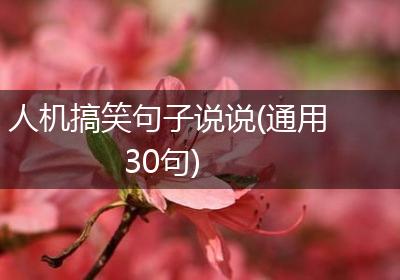 人机搞笑句子说说(通用30句)
