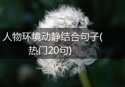 人物环境动静结合句子(热门20句)