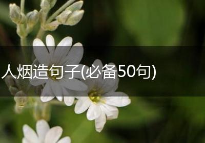 人烟造句子(必备50句)