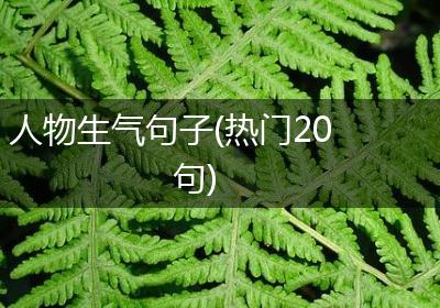 人物生气句子(热门20句)