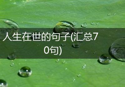 人生在世的句子(汇总70句)