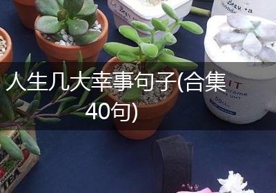 人生几大幸事句子(合集40句)