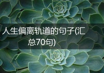 人生偏离轨道的句子(汇总70句)