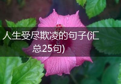 人生受尽欺凌的句子(汇总25句)